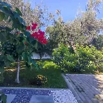 Rhodes Soul Luxury *