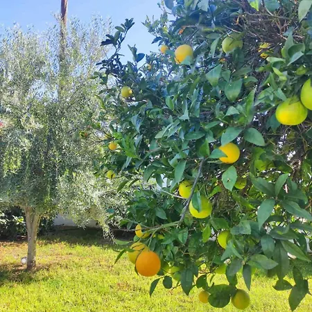 Rhodes Soul Luxury Lejlighed *