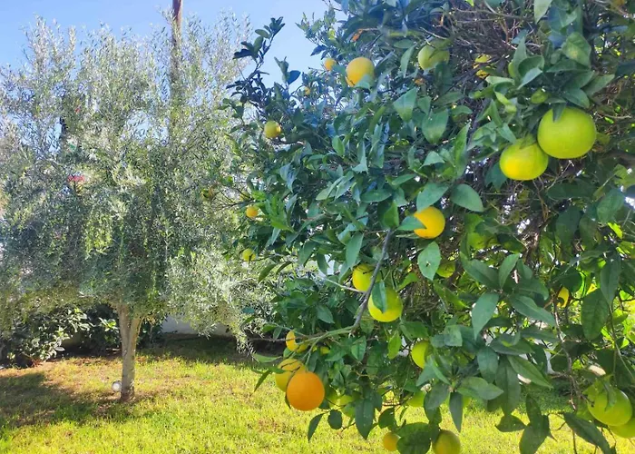 Rhodes Soul Luxury דירה *